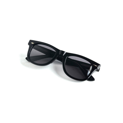 764 Wayfarer black polarized