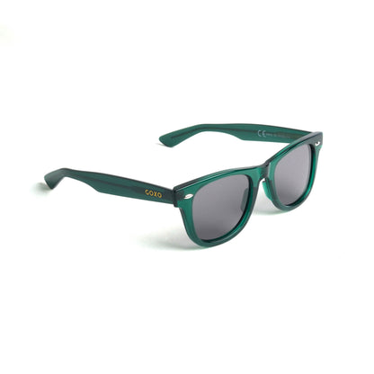 763 Wayfarer green polarized