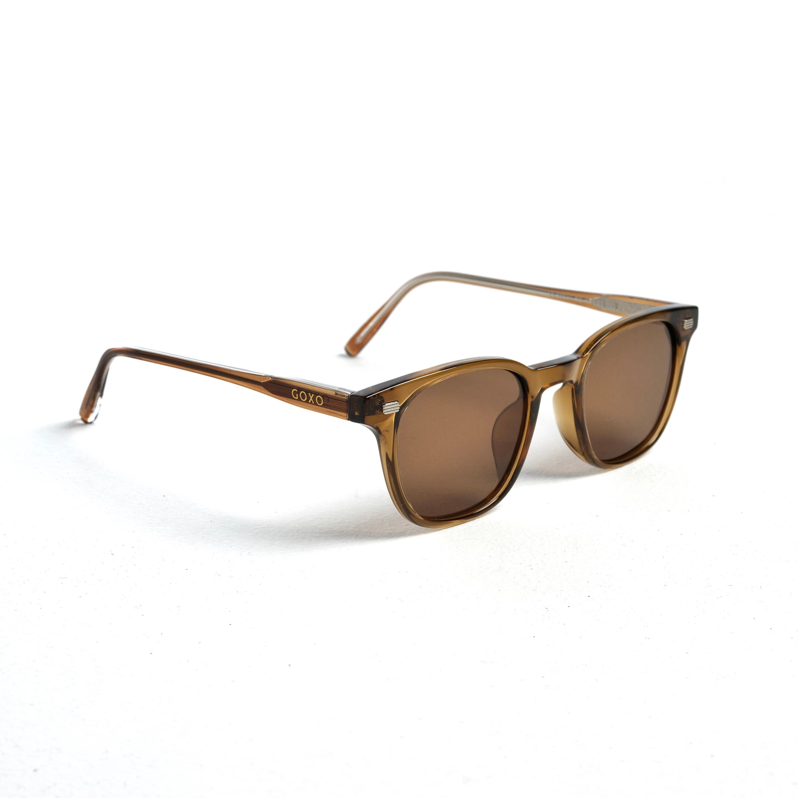 Regent wayfarer brown 638