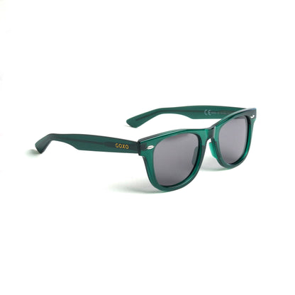 763 Wayfarer green polarized