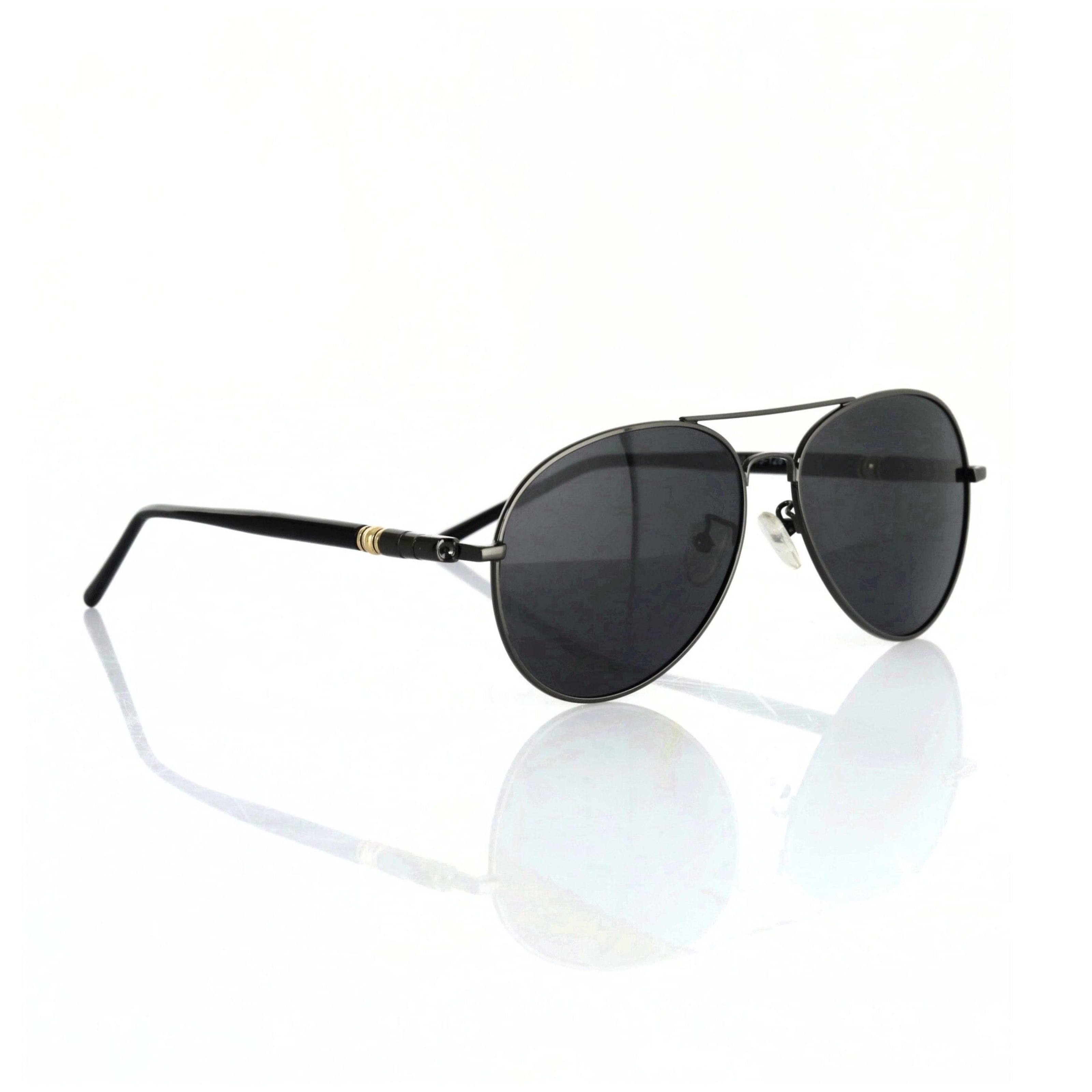 Aviator polarized