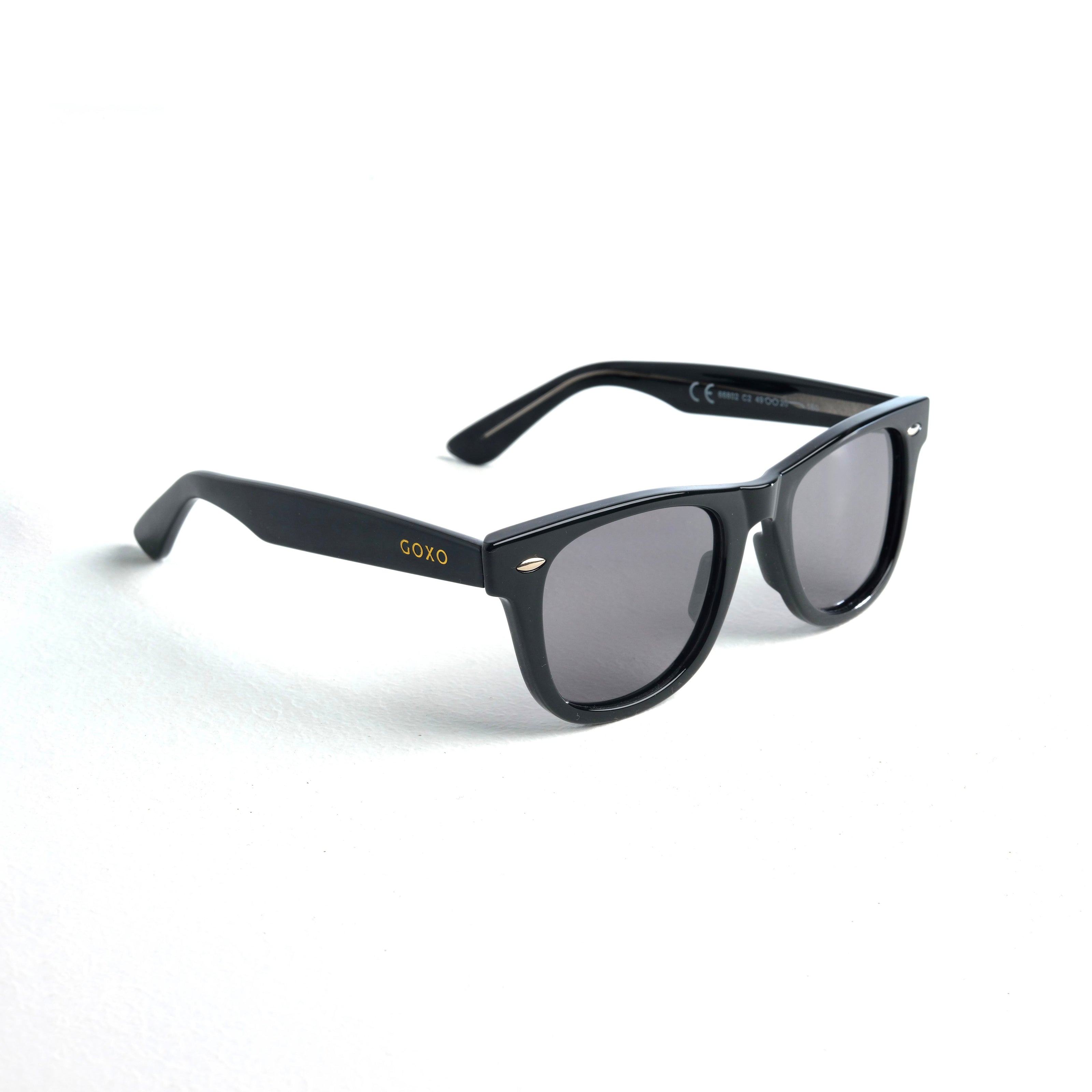 764 Wayfarer black polarized