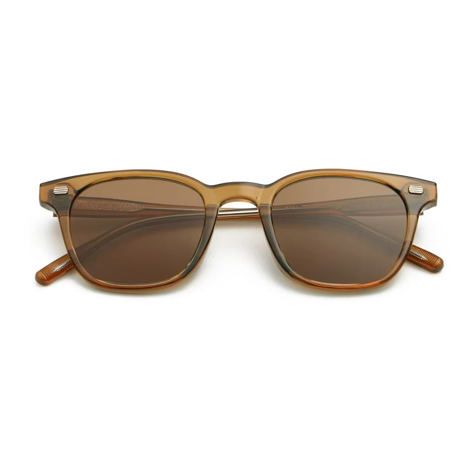 Regent wayfarer brown 638