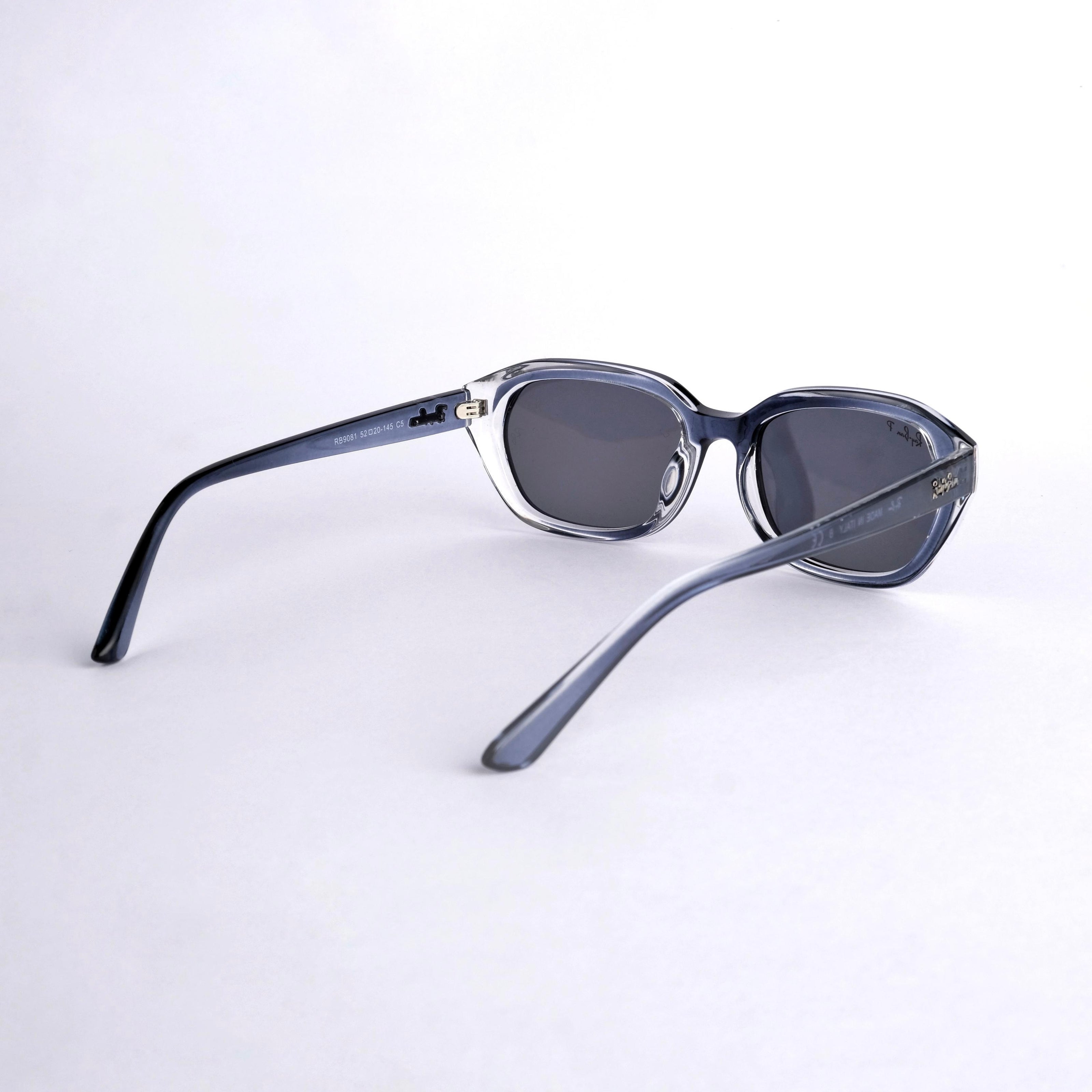 Branded dual transparent   sunglass 666