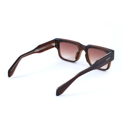 Brown square polarized 338