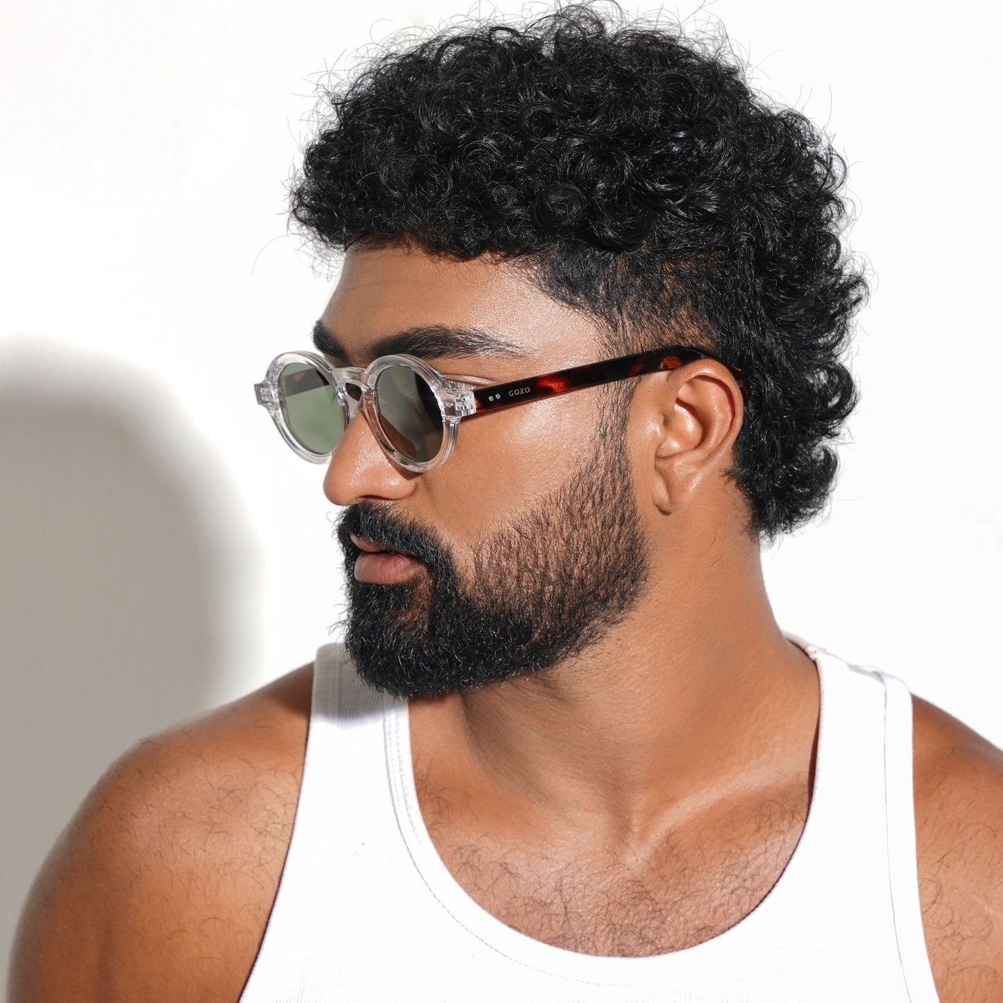 Leo-clear polarized 474